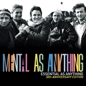 Essential As Anything (30th Anniversary Edition)