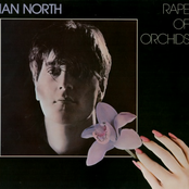 Rape Of Orchids (12")