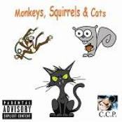 Monkeys , Squirrels & Cats