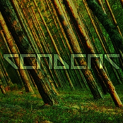 Myriadiini Mandariini