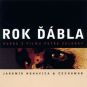 Rok dabla