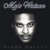Black Beauty by Mojo Watson