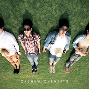 SEA 012 Cashew Chemists