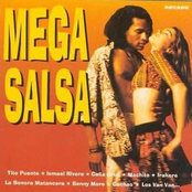 Mega Salsa