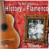 The Best Collections. History of Flamenco.Vol. 5: Cojo De Malaga
