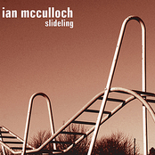 Baby Hold On by Ian Mcculloch