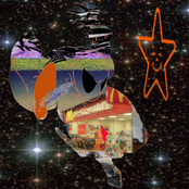 porcelaein's bad case of stars and stripes