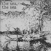 Discography