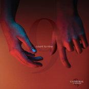 Not Another Vampire Song