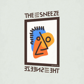 The Sneeze