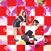 All The Girls In The Room Say 'Sorry'