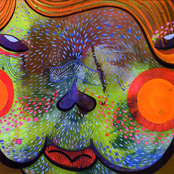 Plastic Bag in a Tree