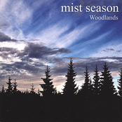 Tears Of Woodland by Mist Season