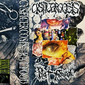 Cysticercosis / Rat Food