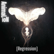 Animal Ion: Regression
