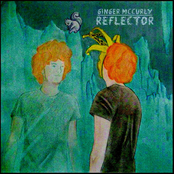 Reflector