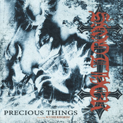 PRECIOUS THINGS