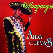 Aida Cuevas: Huapangos