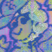 live! from my living room