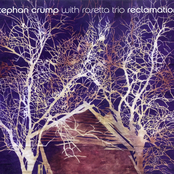 Stephan Crump: Reclamation