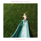 American Pets: Bad Dream