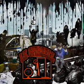 memorial tigers, finding forever