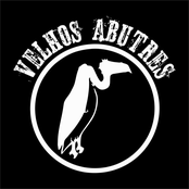 Velhos Abutres