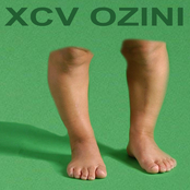 Ozini