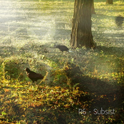 Subsist by R6