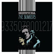 The Numbers by Skryptcha