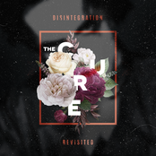 Disintegration Revisited