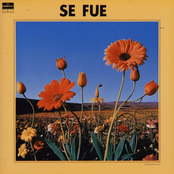 Se Fue