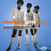 Where The Girls Are Vol. 5