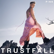 P!nk - TRUSTFALL