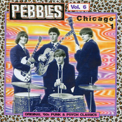 Pebbles Vol. 6 - Chicago 1