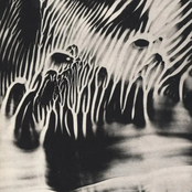 What im doing with my life...