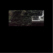 s'évaporer dans la nuit