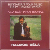Hungarian Folk Music from Transylvania