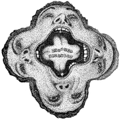 Gestation Primer 12" Single