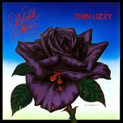 Got To Give It Up by Thin Lizzy