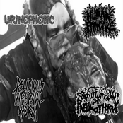 Urinophobic / Human Pancake / Delicious Infernal Worm / Dexterious Mutilation Of Pneumothorax