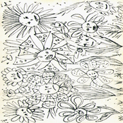 Divlji Cvetovi /Wild Flowers/