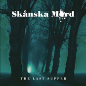 In The Dark by Skånska Mord