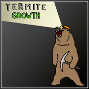 termite