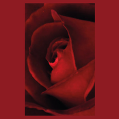 X Film plus Ultra  + Lets Form A Cell Compilation