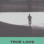 Hovvdy - True Love Artwork