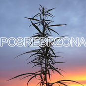 Posrebrzona