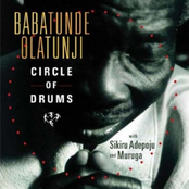 Cosmic Rhythm Vibrations by Babatunde Olatunji