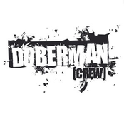 DOBERMAN [crew] - 1er Album - 2010