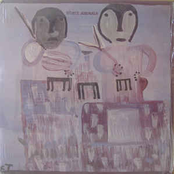 White Animals: White Animals